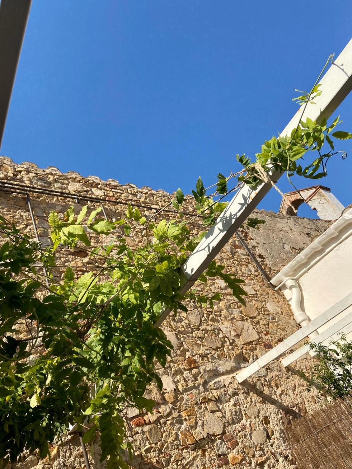 Ecoturisme Mas Ribas Hotel Palamos Luaran gambar